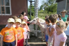 15 июня 2013 г. Посещение зоопарка