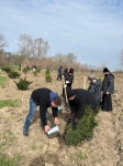 Духовенство епархии приняло участие в высадке деревьев 5